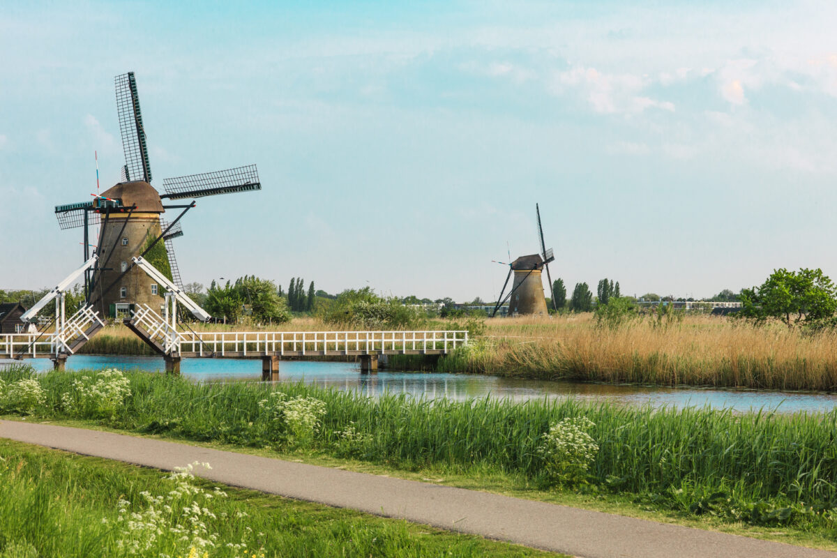 Traditional Dutch Windmills With Green Grass In The Foreground, The Netherlands