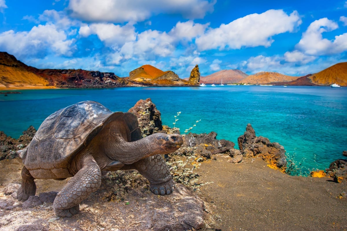 The Galapagos Islands Will Raise Its Entrance Fee Dramatically For The First Time In 25 Years  