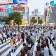 Japan reports a 40.6 percent surge in foreign arrivals in January